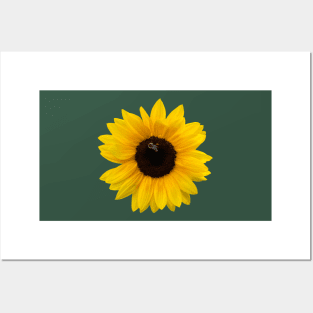 Happy Sunflower with Bee on Yellow Posters and Art